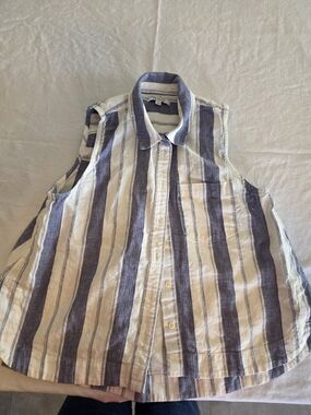Madewell Sleeveless Button-Down Shirt in Blue & White Stripes